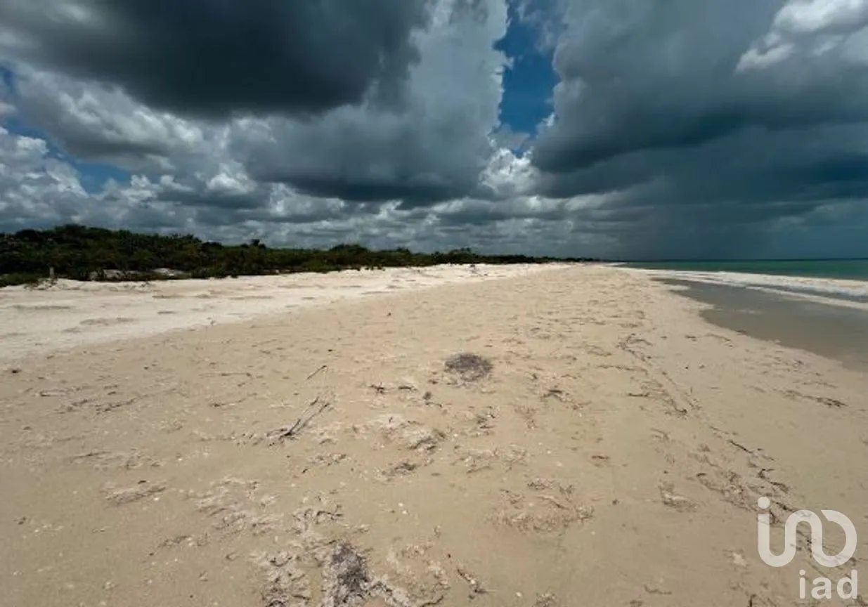 Terreno en Venta en Sisal, Hunucmá, Yucatán | NEX-279568 | iad México | Foto 7 de 14