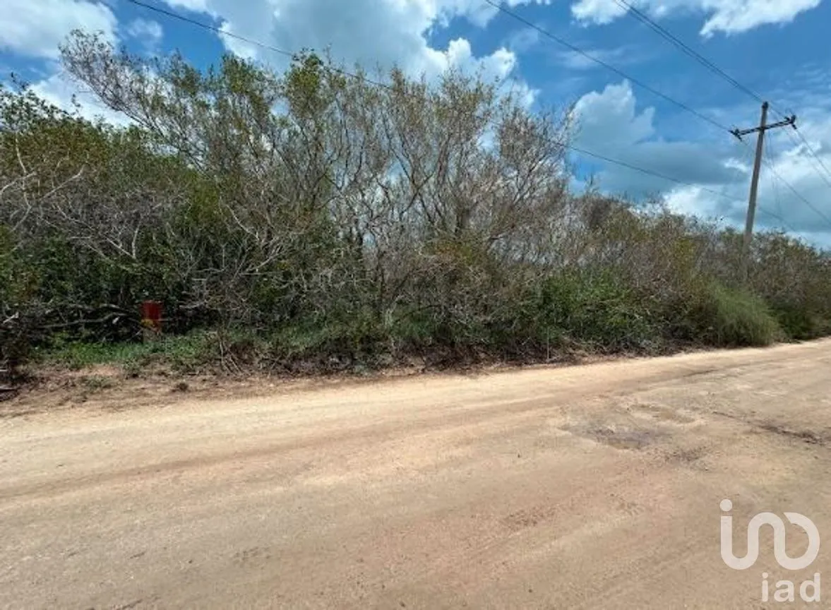Terreno en Venta en Sisal, Hunucmá, Yucatán | NEX-279568 | iad México | Foto 8 de 14