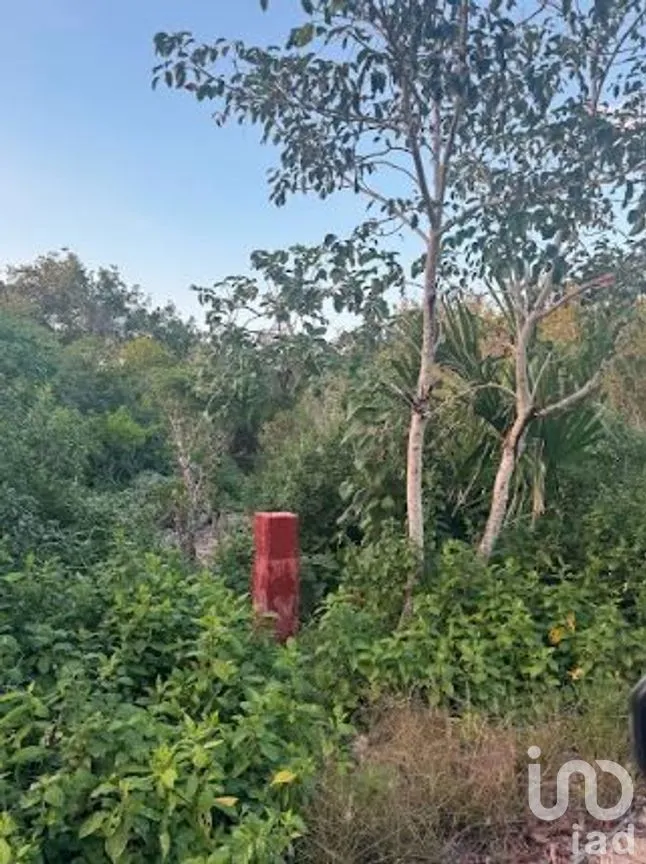 Terreno en Venta en Sisal, Hunucmá, Yucatán | NEX-279568 | iad México | Foto 9 de 14
