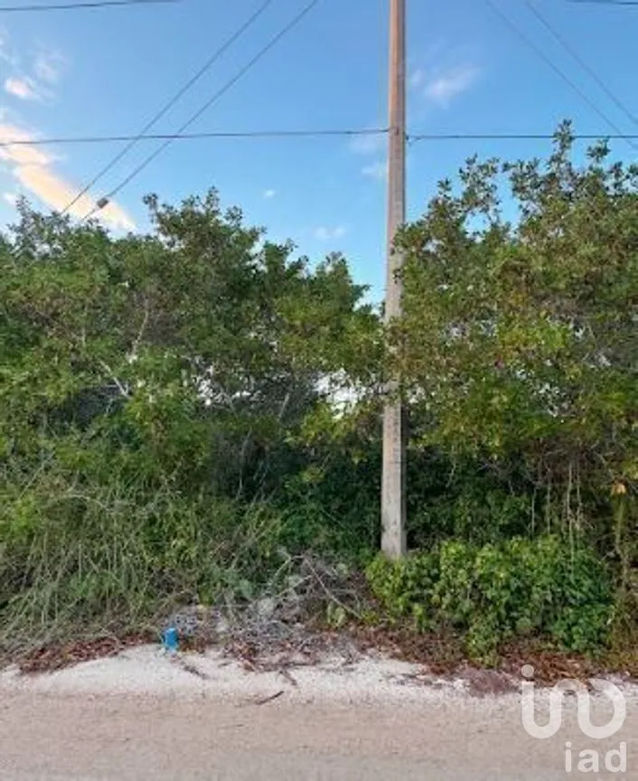 Terreno en Venta en Sisal, Hunucmá, Yucatán | NEX-279568 | iad México | Foto 10 de 14