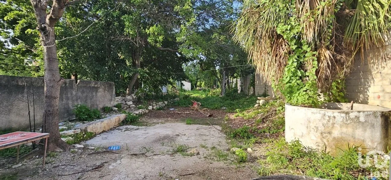 Casa en Venta en Mérida Centro, Mérida, Yucatán | NEX-279572 | iad México | Foto 9 de 11