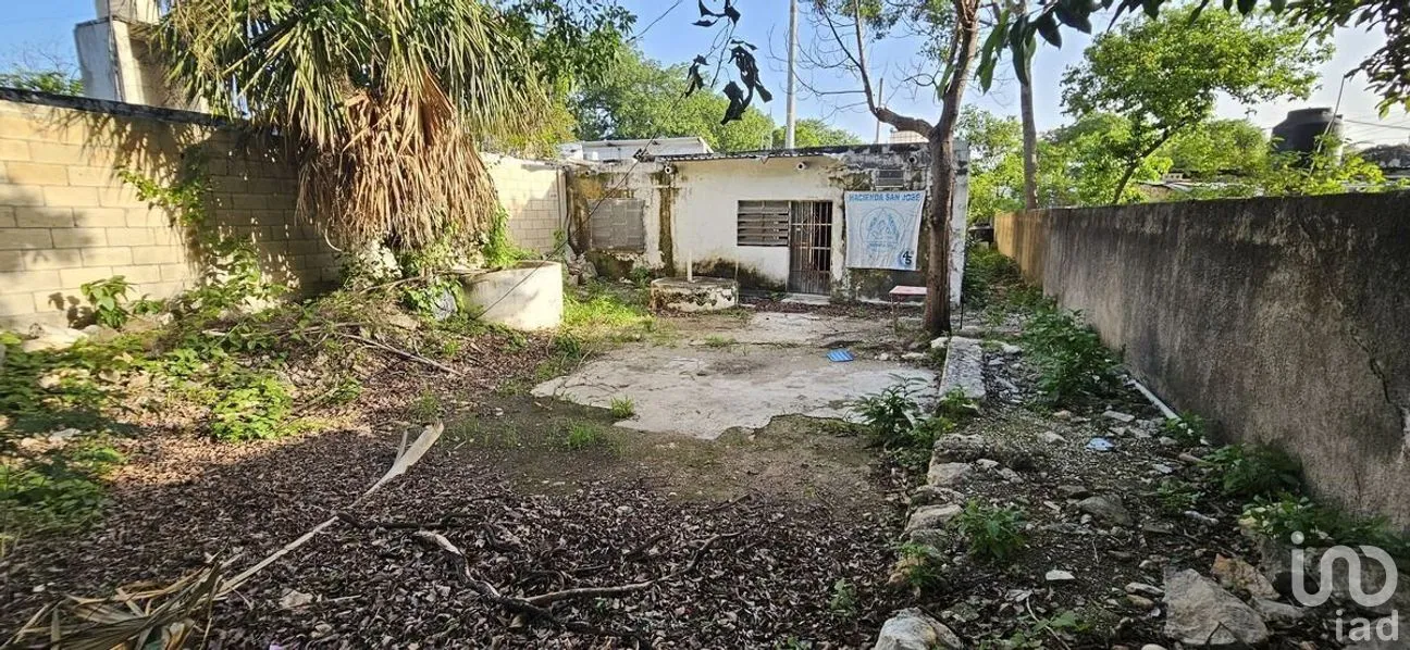 Casa en Venta en Mérida Centro, Mérida, Yucatán | NEX-279572 | iad México | Foto 10 de 11