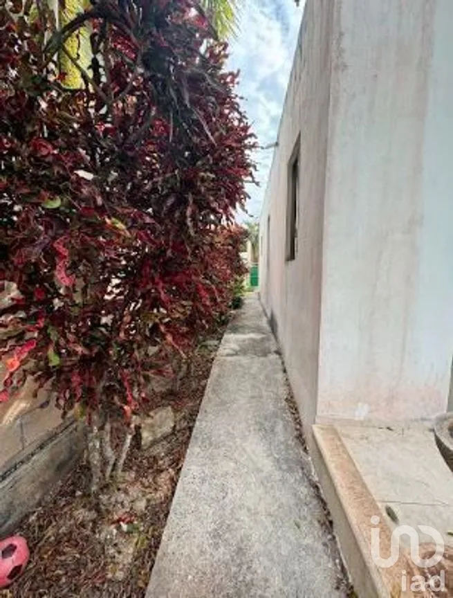Casa en Venta en La Ceiba, Mérida, Yucatán | NEX-279579 | iad México | Foto 19 de 31