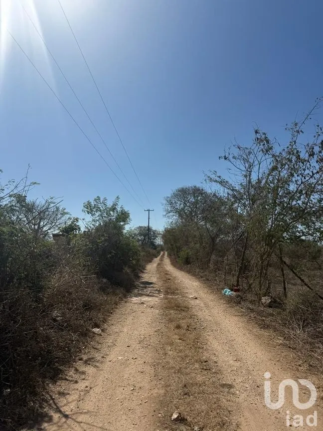 Terreno en Venta en Centro Umán, Umán, Yucatán | NEX-279635 | iad México | Foto 12 de 20