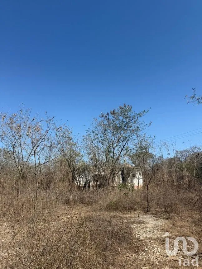 Terreno en Venta en Centro Umán, Umán, Yucatán | NEX-279635 | iad México | Foto 13 de 20