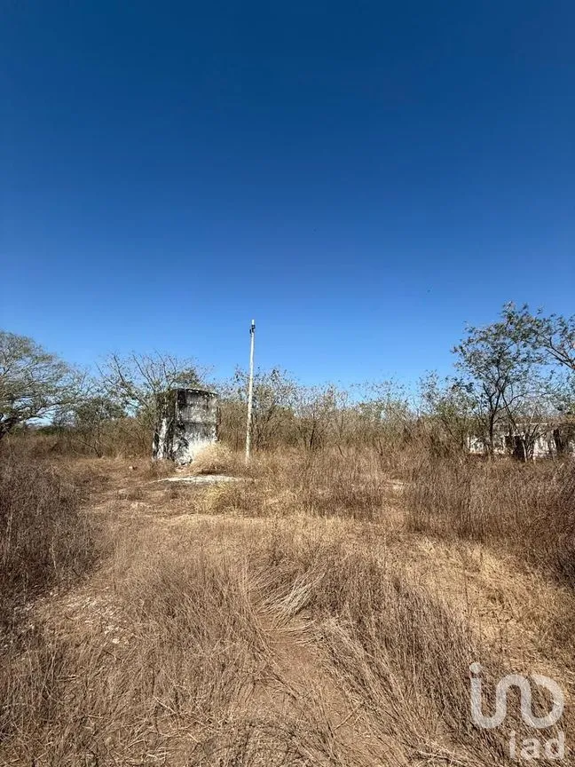 Terreno en Venta en Centro Umán, Umán, Yucatán | NEX-279635 | iad México | Foto 14 de 20