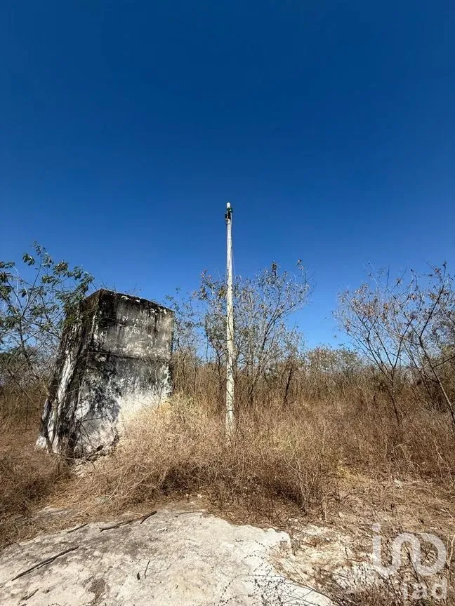 Terreno en Venta en Centro Umán, Umán, Yucatán | NEX-279635 | iad México | Foto 15 de 20