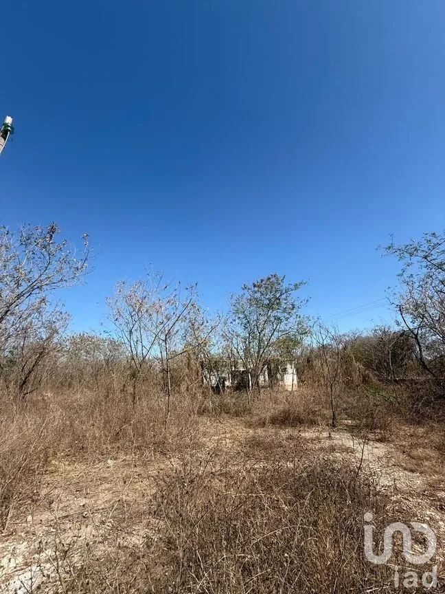 Terreno en Venta en Centro Umán, Umán, Yucatán | NEX-279635 | iad México | Foto 17 de 20