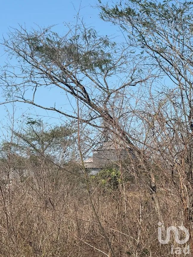 Terreno en Venta en Centro Umán, Umán, Yucatán | NEX-279635 | iad México | Foto 4 de 20