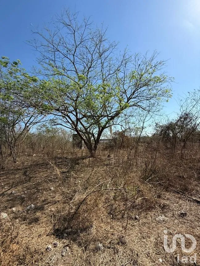 Terreno en Venta en Centro Umán, Umán, Yucatán | NEX-279635 | iad México | Foto 5 de 20