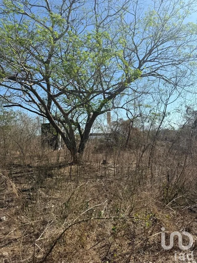 Terreno en Venta en Centro Umán, Umán, Yucatán | NEX-279635 | iad México | Foto 6 de 20