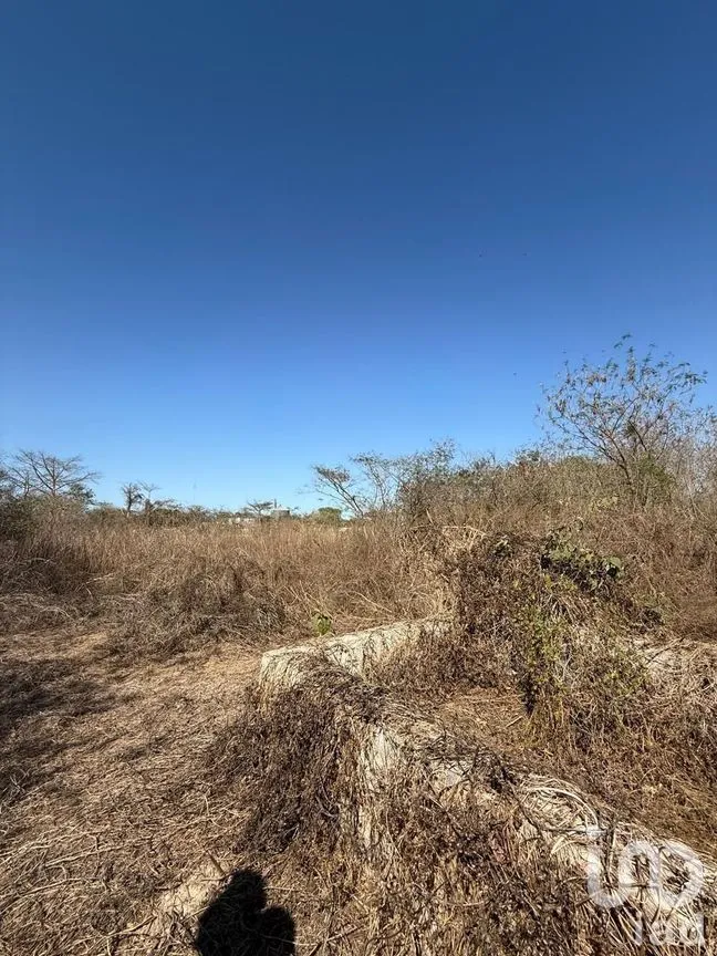 Terreno en Venta en Centro Umán, Umán, Yucatán | NEX-279635 | iad México | Foto 7 de 20