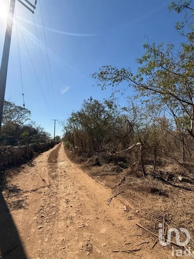 Terreno en Venta en Centro Umán, Umán, Yucatán | NEX-279635 | iad México | Foto 8 de 20