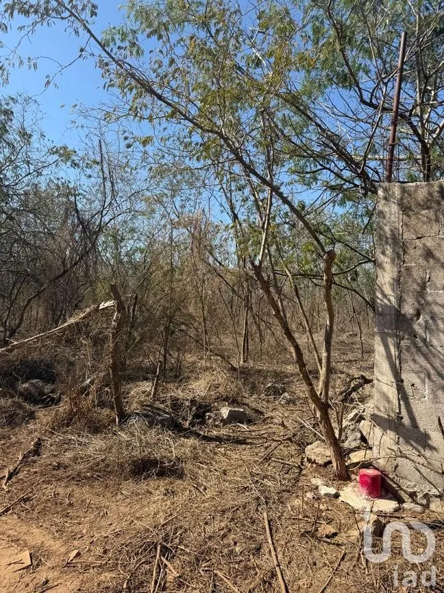 Terreno en Venta en Centro Umán, Umán, Yucatán | NEX-279635 | iad México | Foto 9 de 20