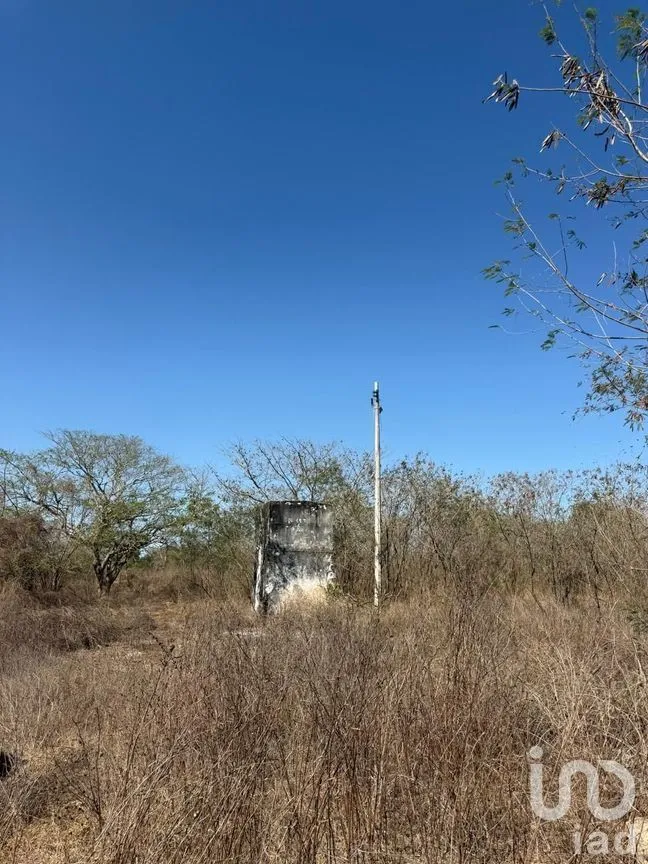 Terreno en Venta en Centro Umán, Umán, Yucatán | NEX-279635 | iad México | Foto 10 de 20