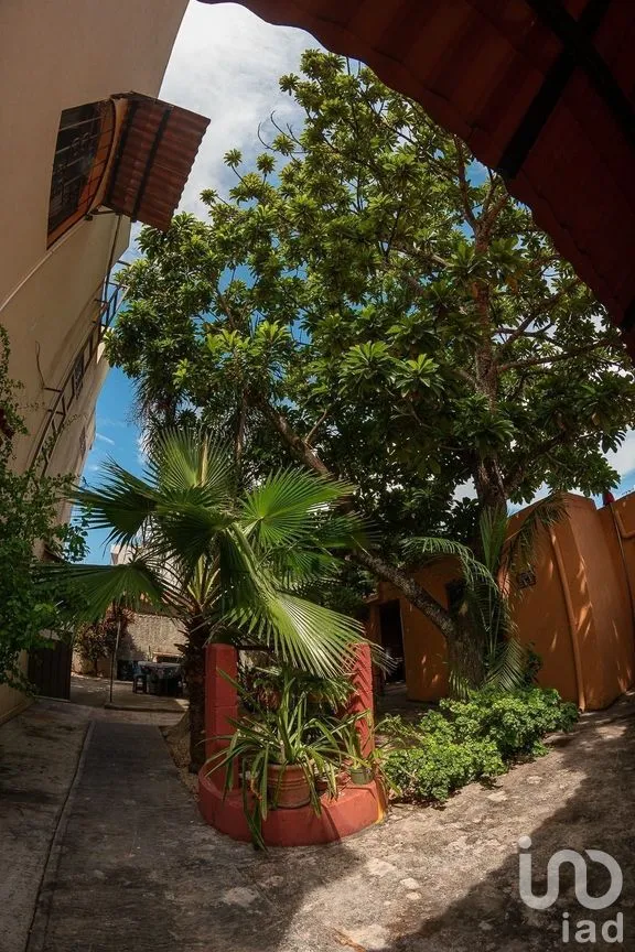 Casa en Venta en Maya, Mérida, Yucatán | NEX-279639 | iad México | Foto 36 de 48