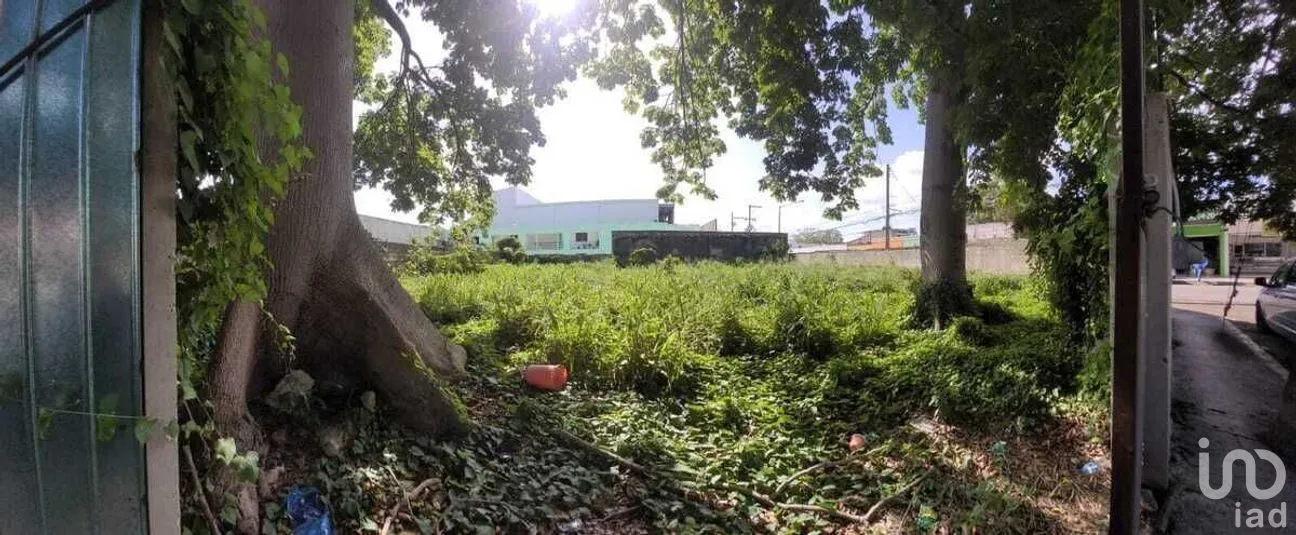 Terreno en Venta en Itzimna, Mérida, Yucatán | NEX-279653 | iad México | Foto 2 de 4