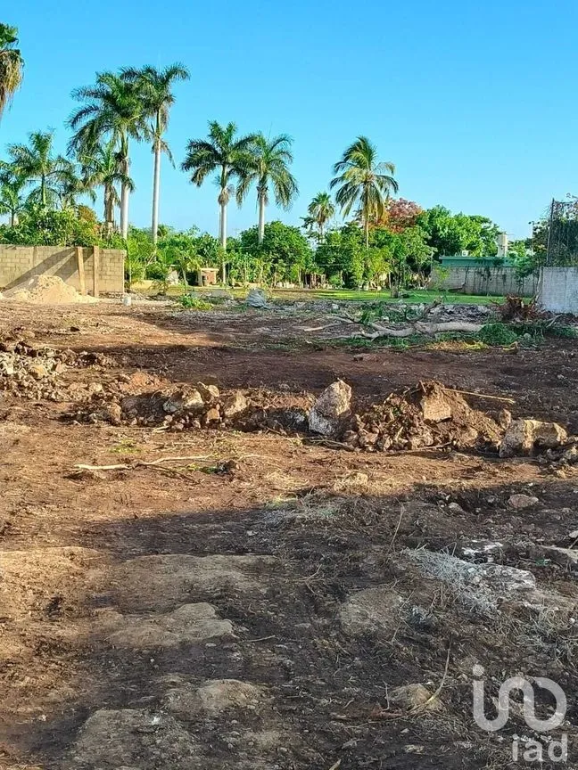 Terreno en Venta en Cholul, Mérida, Yucatán | NEX-279654 | iad México | Foto 6 de 11