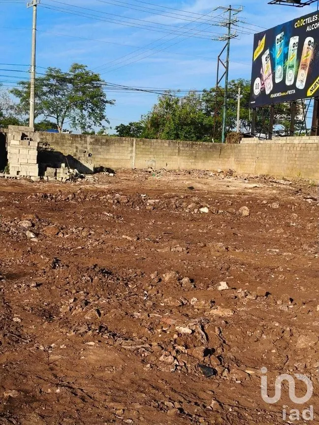 Terreno en Renta en Cholul, Mérida, Yucatán | NEX-279656 | iad México | Foto 3 de 11