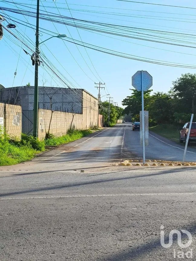 Terreno en Renta en Cholul, Mérida, Yucatán | NEX-279656 | iad México | Foto 4 de 11