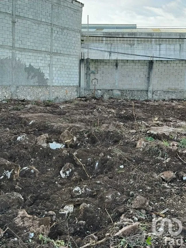 Terreno en Renta en Cholul, Mérida, Yucatán | NEX-279656 | iad México | Foto 8 de 11