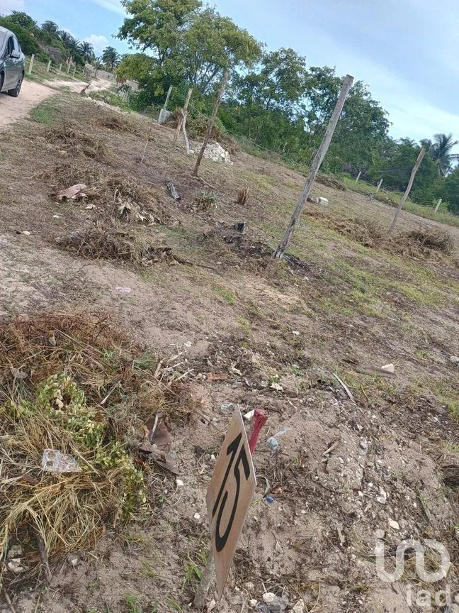 Terreno en Venta en Chelem, Progreso, Yucatán | NEX-279664 | iad México | Foto 5 de 8