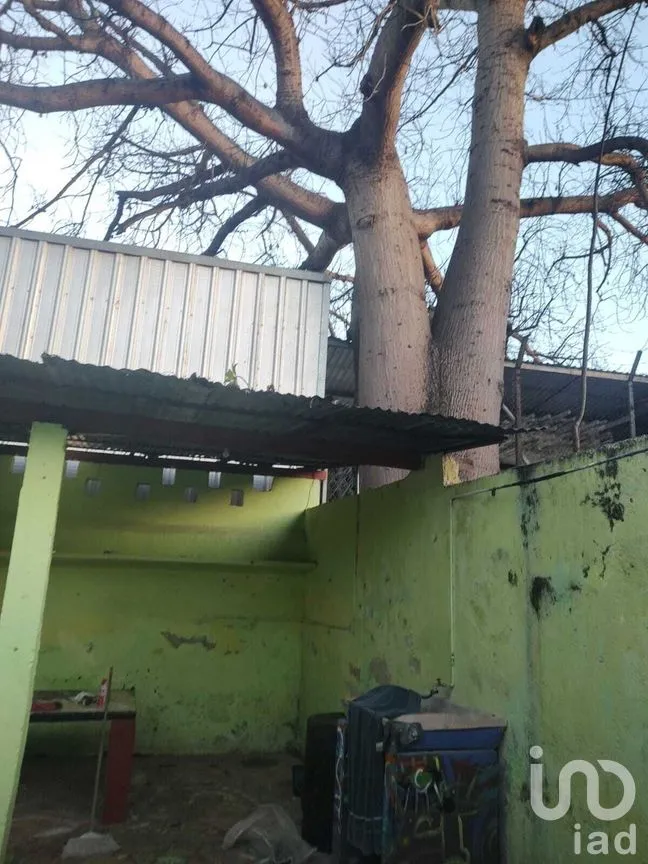 Casa en Venta en Mérida Centro, Mérida, Yucatán | NEX-279672 | iad México | Foto 18 de 32