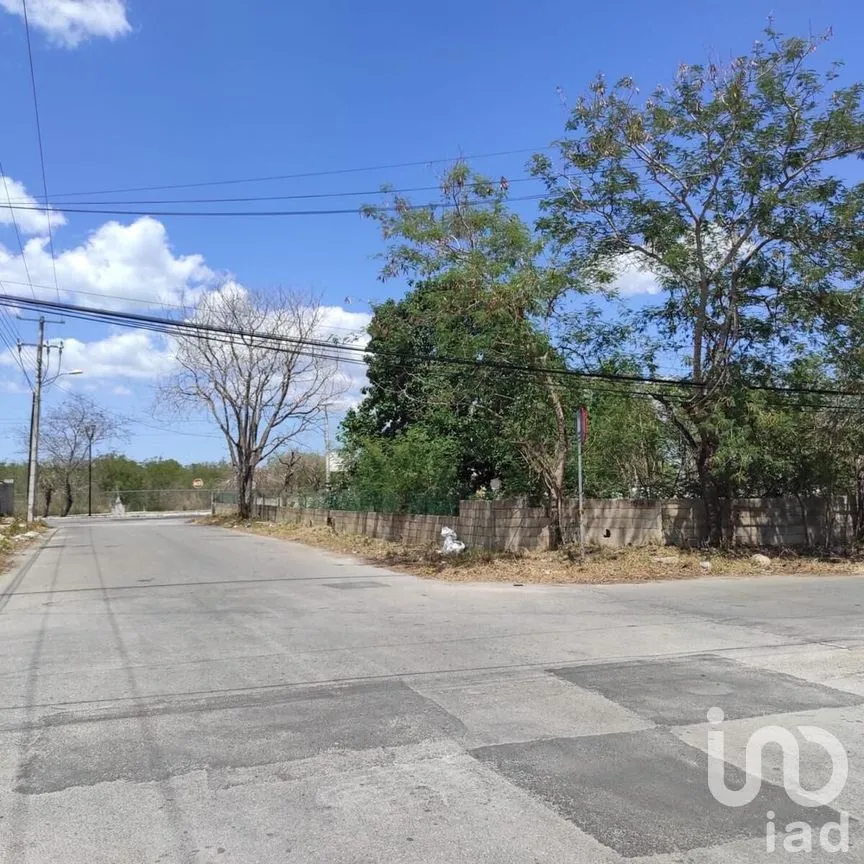 Terreno en Venta en Maya, Mérida, Yucatán | NEX-279673 | iad México | Foto 3 de 6