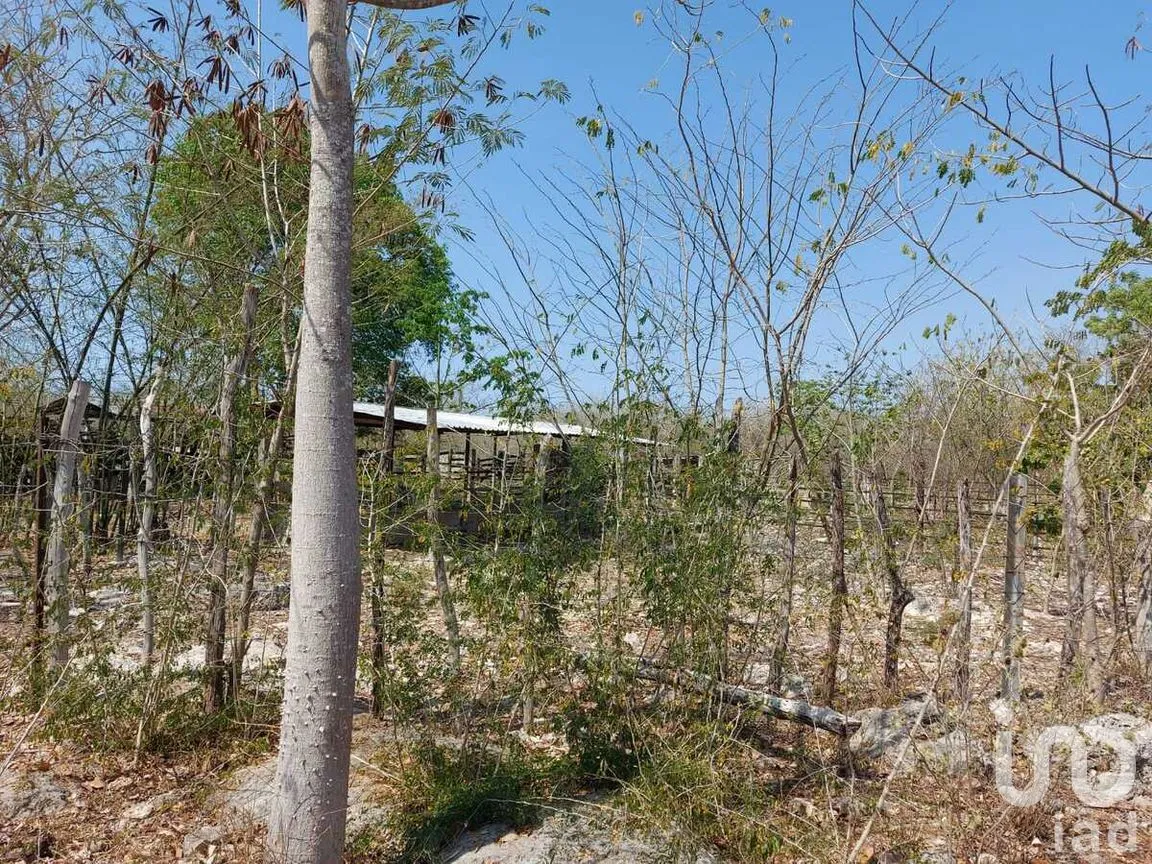 Terreno en Venta en Tixkokob, Tixkokob, Yucatán | NEX-279687 | iad México | Foto 15 de 25
