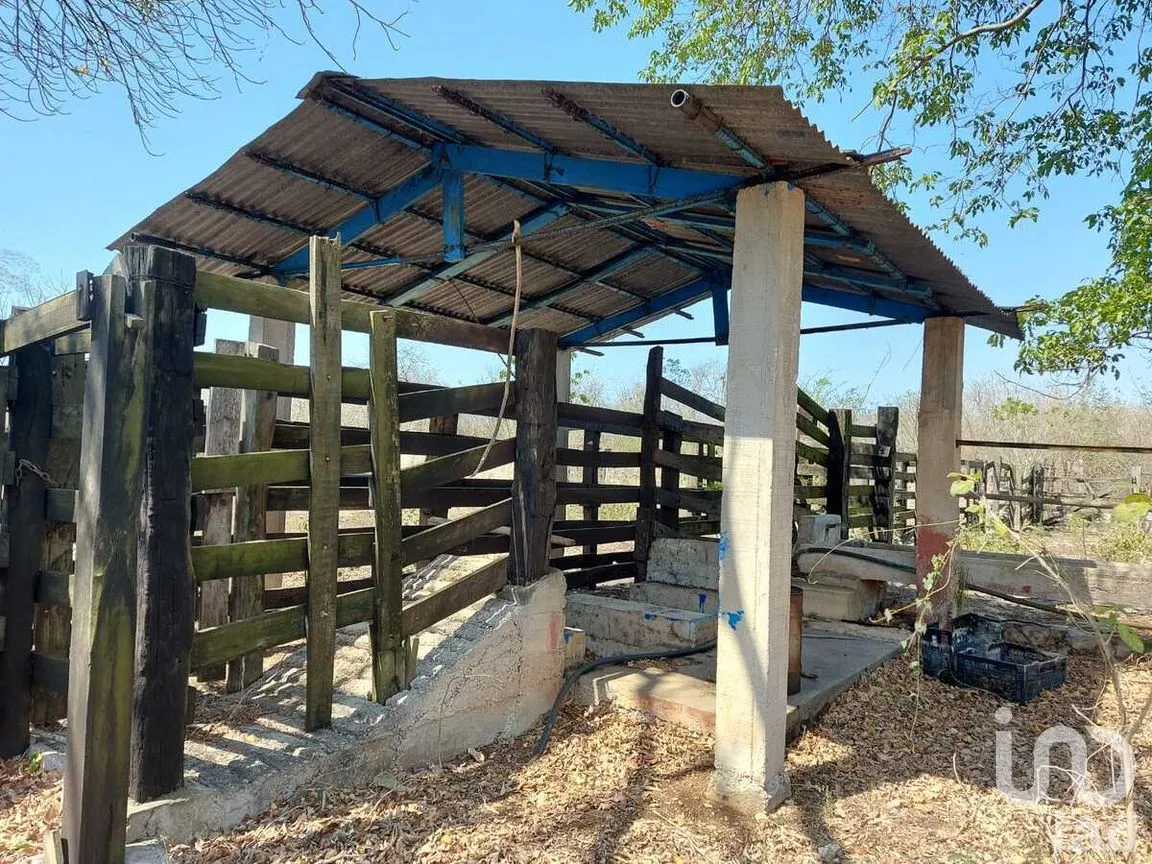 Terreno en Venta en Tixkokob, Tixkokob, Yucatán | NEX-279687 | iad México | Foto 18 de 25
