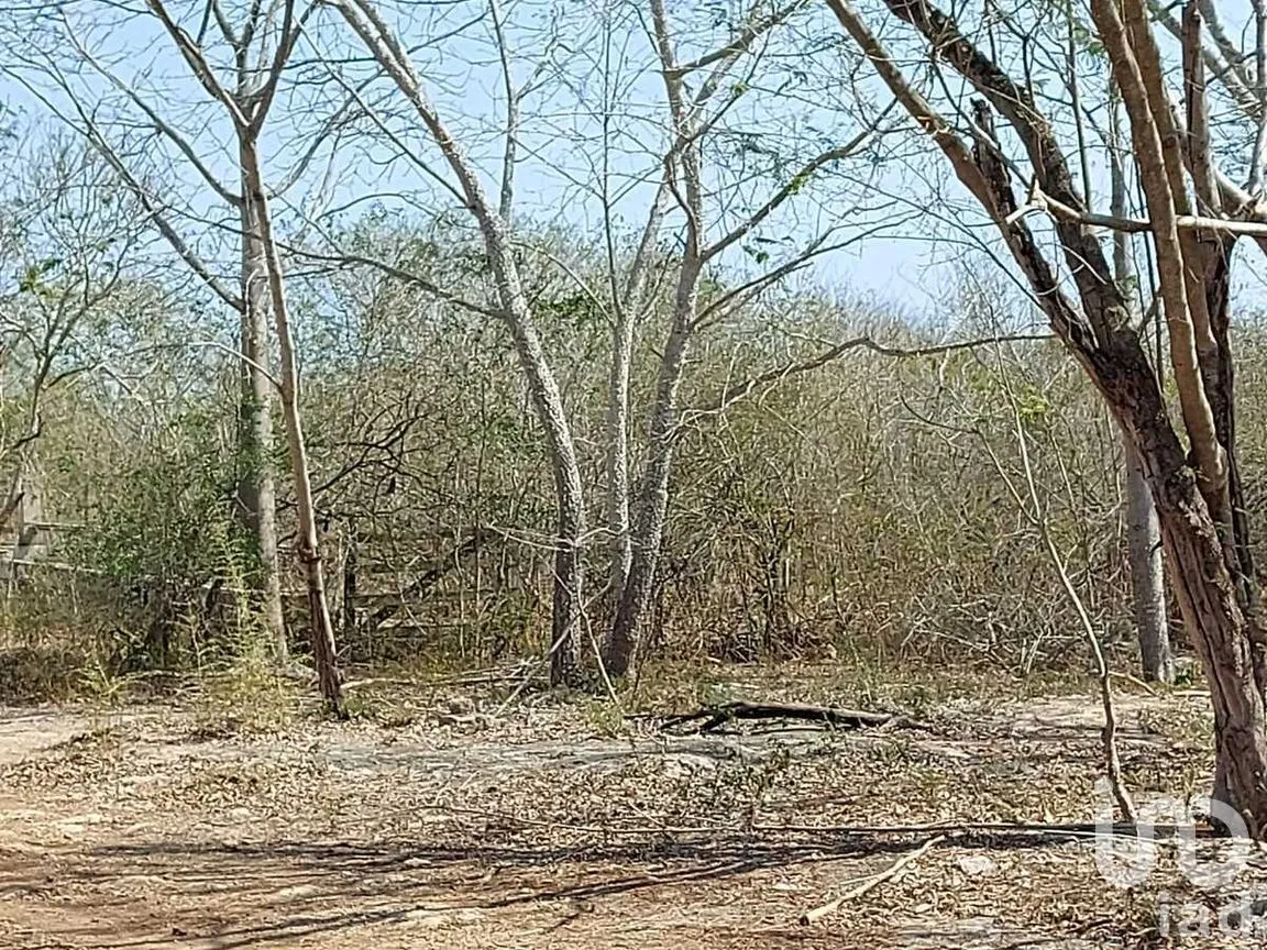 Terreno en Venta en Tixkokob, Tixkokob, Yucatán | NEX-279687 | iad México | Foto 10 de 25