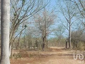 NEX-279687 - Terreno en Venta en Tixkokob, CP 97470, Yucatán.