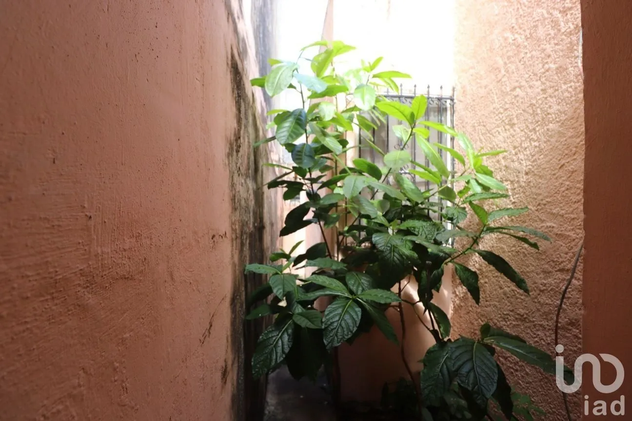 Casa en Venta en Circuito Colonias, Mérida, Yucatán | NEX-279689 | iad México | Foto 9 de 26