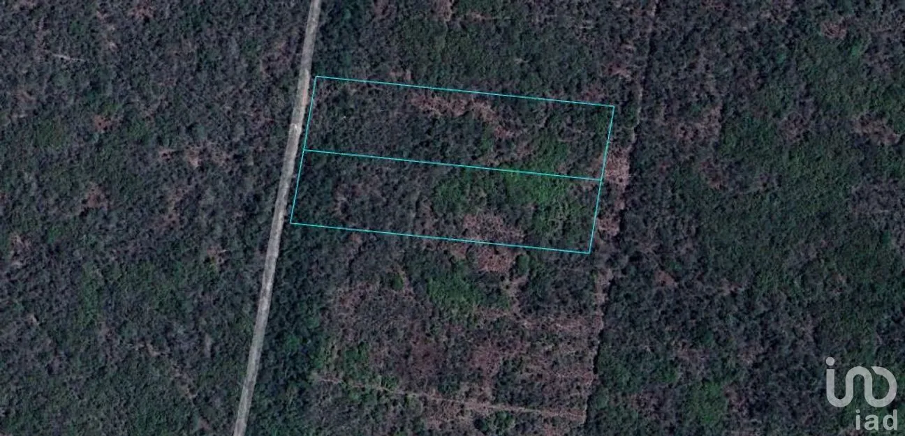 Terreno en Venta en Yaxkukul, Yaxkukul, Yucatán | NEX-279743 | iad México | Foto 14 de 17