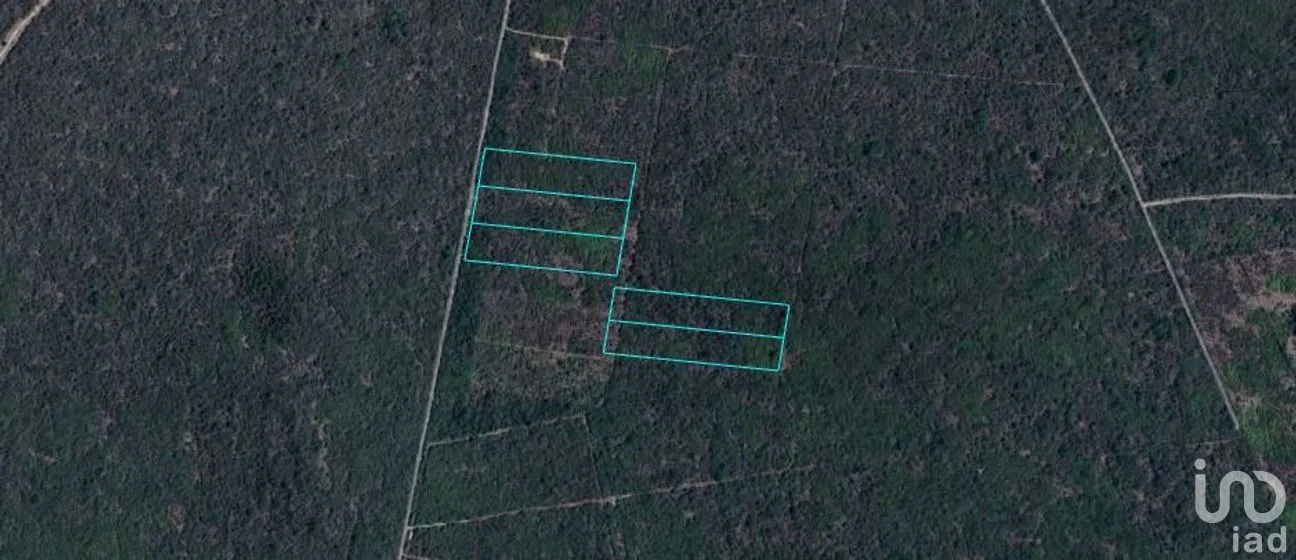 Terreno en Venta en Yaxkukul, Yaxkukul, Yucatán | NEX-279743 | iad México | Foto 17 de 17