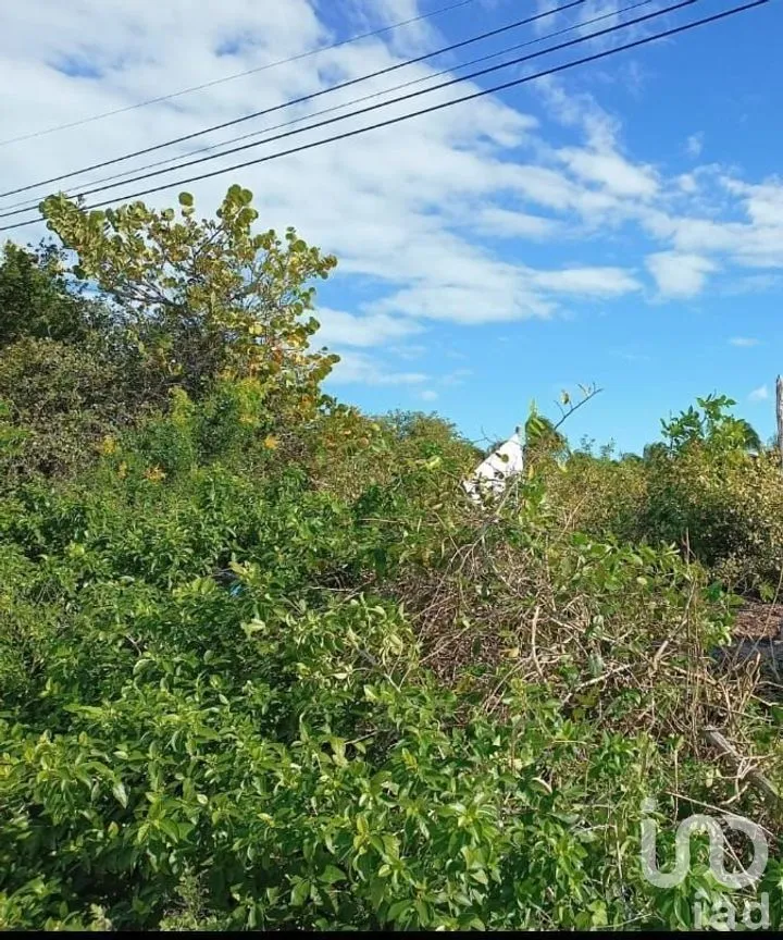 Terreno en Venta en Chicxulub Puerto, Progreso, Yucatán | NEX-284995 | iad México | Foto 2 de 2