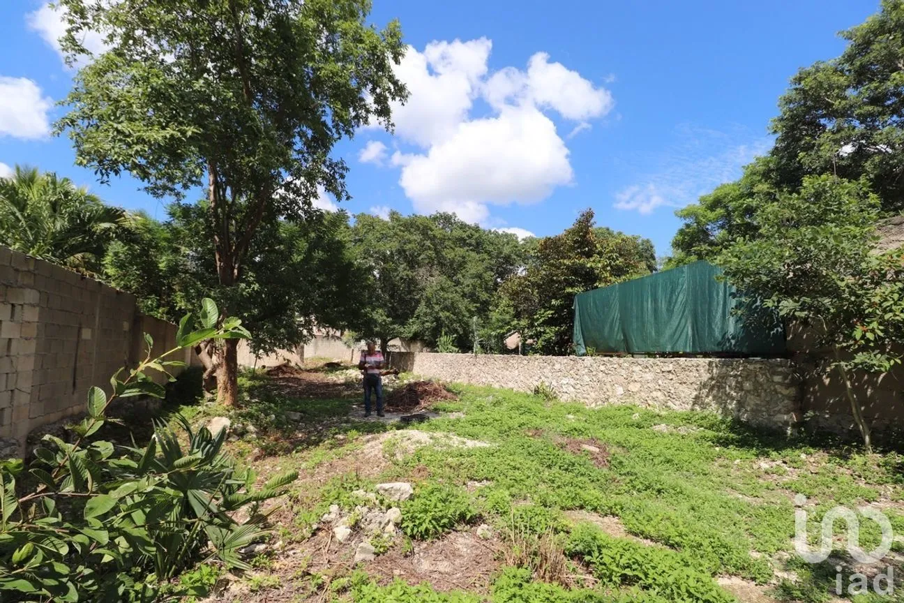 Terreno en Venta en Xcanatún, Mérida, Yucatán | NEX-285004 | iad México | Foto 10 de 10