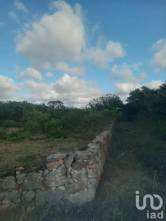 Terreno en Venta en Mococha, Mocochá, Yucatán | NEX-285010 | iad México | Foto 3 de 7