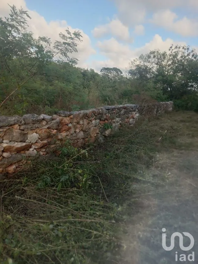 Terreno en Venta en Mococha, Mocochá, Yucatán | NEX-285010 | iad México | Foto 6 de 7