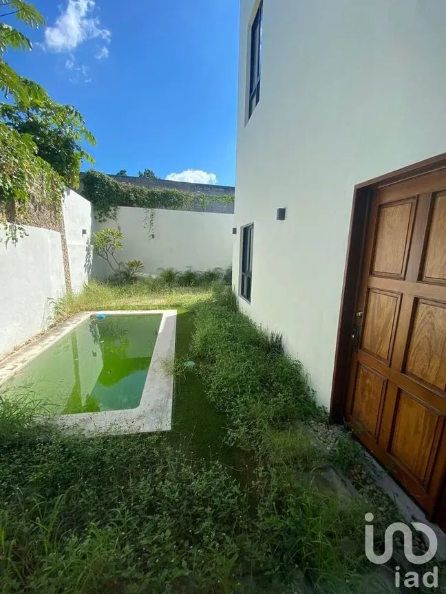 Casa en Renta en Mérida Centro, Mérida, Yucatán | NEX-285013 | iad México | Foto 3 de 20