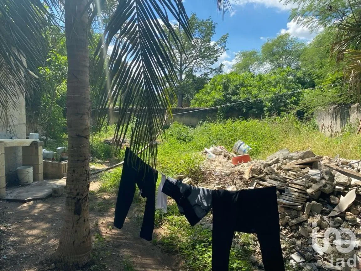 Casa en Venta en Mérida Centro, Mérida, Yucatán | NEX-285019 | iad México | Foto 15 de 33
