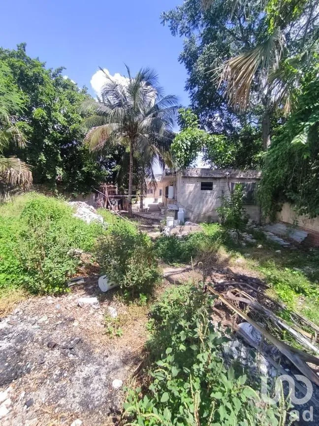 Casa en Venta en Mérida Centro, Mérida, Yucatán | NEX-285019 | iad México | Foto 32 de 33