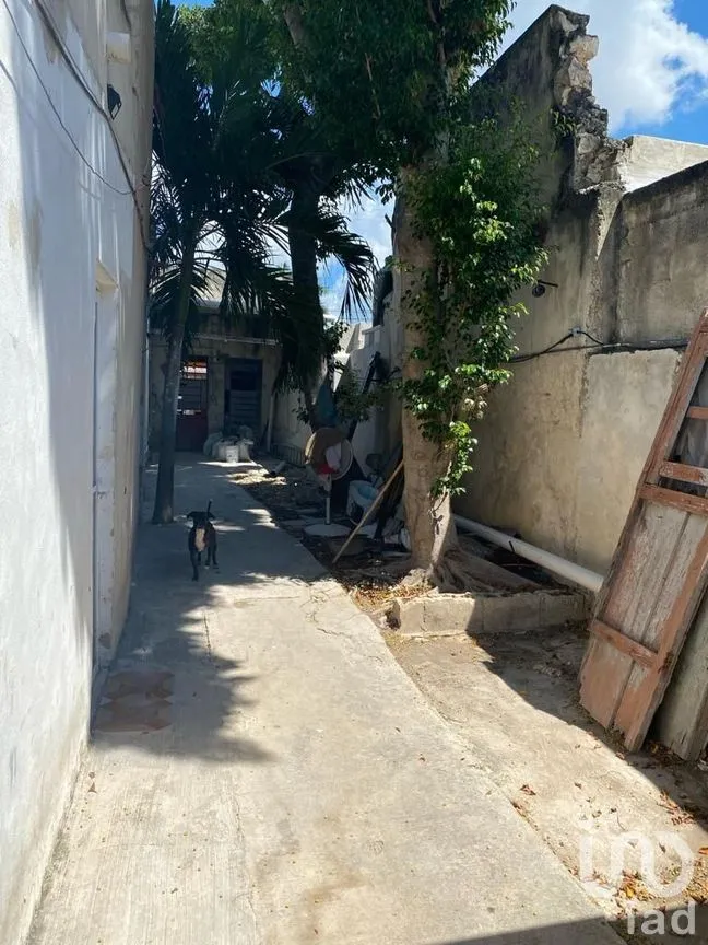 Casa en Venta en Mérida Centro, Mérida, Yucatán | NEX-285019 | iad México | Foto 10 de 33