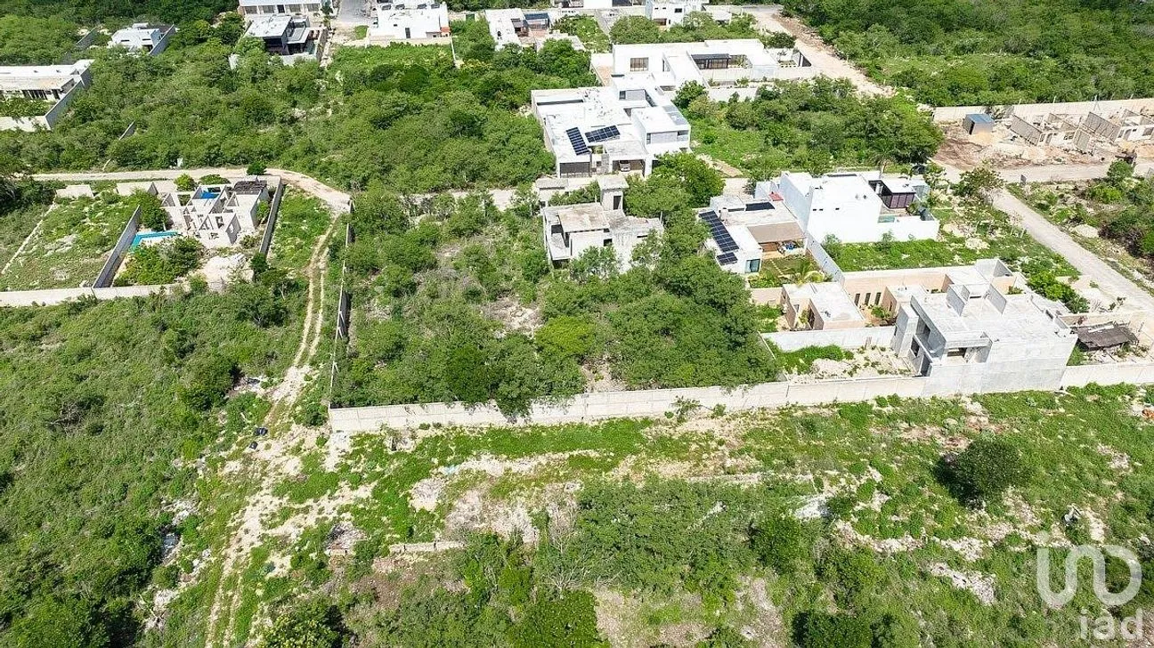 Terreno en Venta en San Antonio Hool, Mérida, Yucatán | NEX-285036 | iad México | Foto 6 de 15