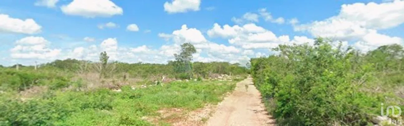 Terreno en Venta en Chicxulub, Chicxulub Pueblo, Yucatán | NEX-289027 | iad México | Foto 6 de 6