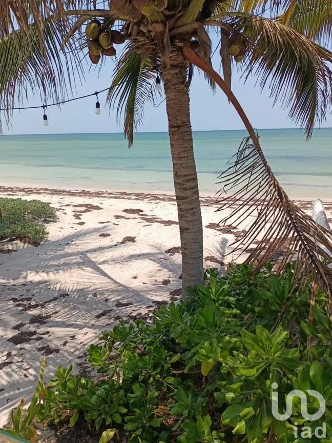 Casa en Venta en Chicxulub Puerto, Progreso, Yucatán | NEX-289038 | iad México | Foto 23 de 27