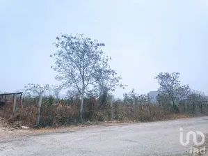 NEX-289044 - Terreno en Venta en Dzityá, CP 97302, Yucatán.