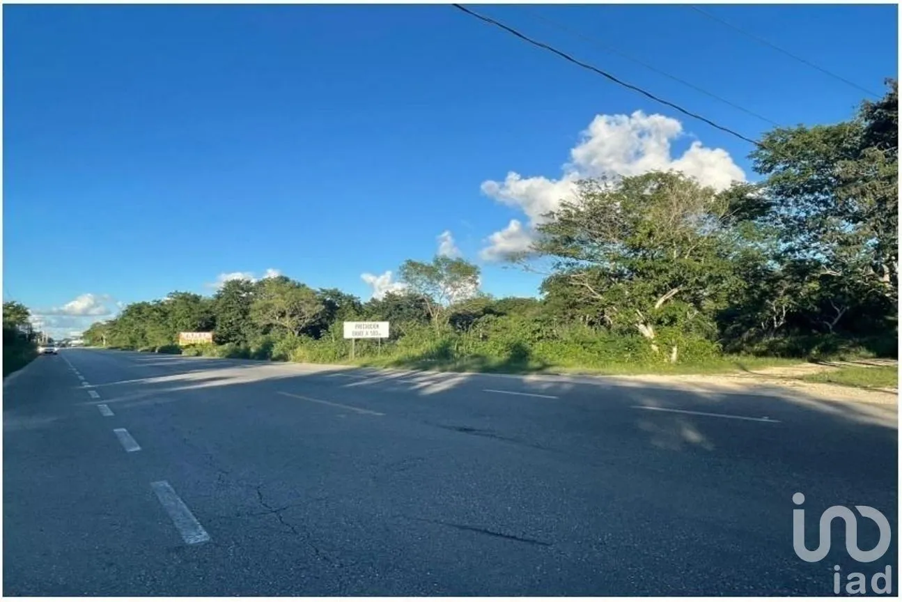 Terreno en Venta en Chicxulub, Chicxulub Pueblo, Yucatán | NEX-289055 | iad México | Foto 4 de 4