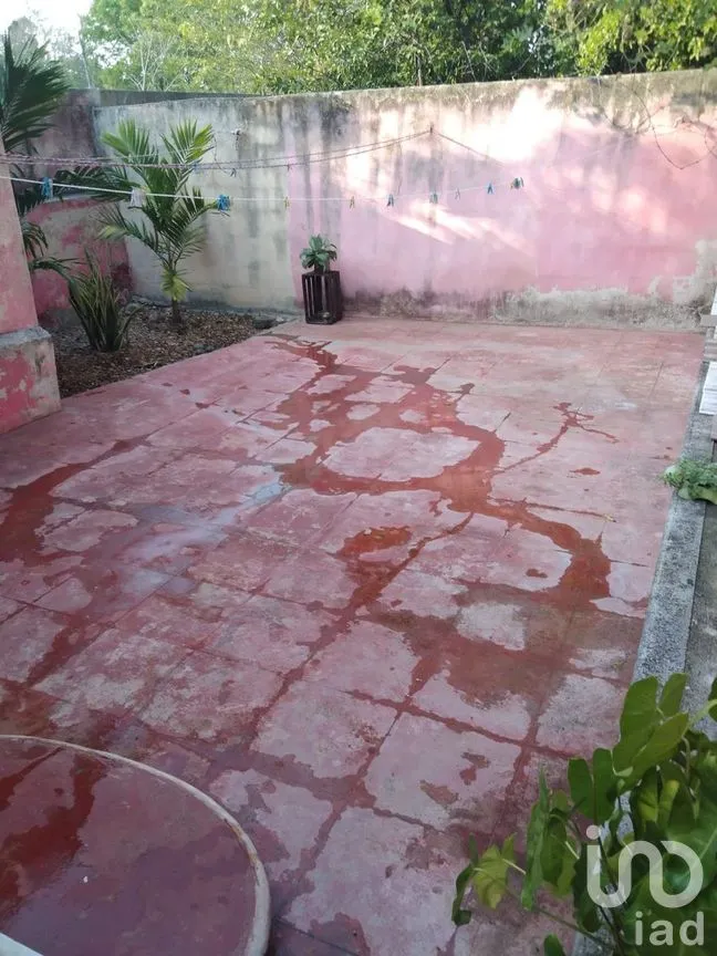 Casa en Venta en Mérida Centro, Mérida, Yucatán | NEX-289076 | iad México | Foto 19 de 36