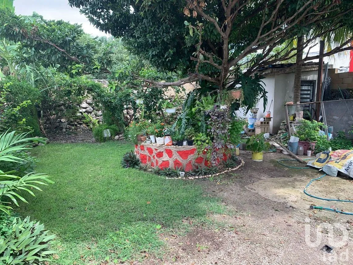 Casa en Venta en Mérida Centro, Mérida, Yucatán | NEX-289077 | iad México | Foto 13 de 17